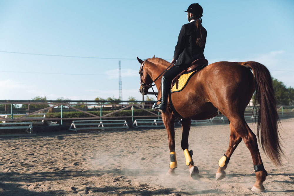 Corridas de Cavalos, Apostas Esportivas, 